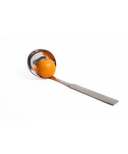 1.PCS Gravy Ladle