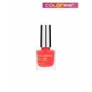 COLORBAR QUICK FINISH NAIL LACQUER 17