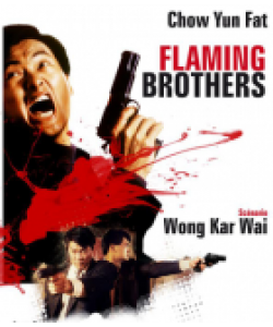 FLAMING BROTHERS MOVIES DVD