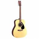 FX310A	ELECTRO ACOUSTIC GUITAR