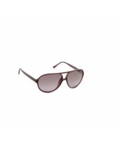 POLICE WOMEN 16880 BROWN SUNGLASSES