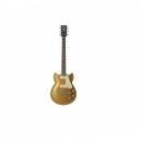 SG1802 GOLD TOP WITH CASE