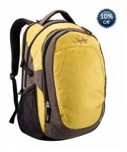 Skybags Chip Laptop Backpack 02 (Yellow/Grey)