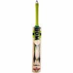 BDM Ambassador English WillowCricket Bat