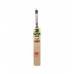 BDM Ambassador English WillowCricket Bat